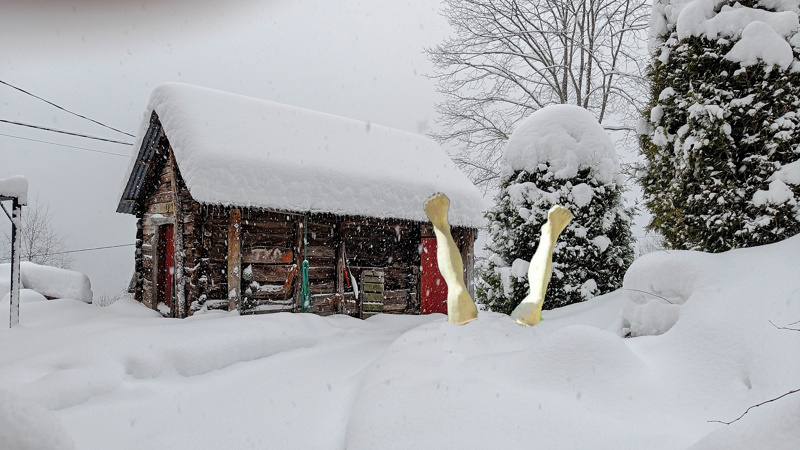 Stabburet i snøvær